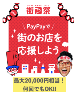 PayPayで最大2万円相当のポイントバック！